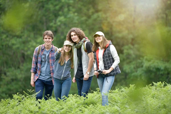 Group Friends Hiking Day Royalty Free Stock Images