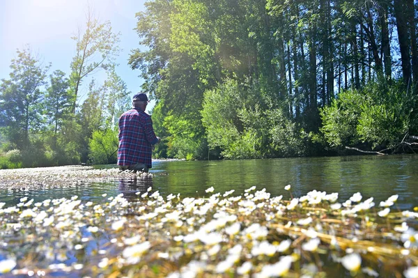 Pescador Mosca Pesca Verão Rio Montanha Com Waders Tampão Imagem De Stock