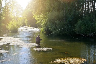 Yaz mevsiminde balıkçı balıkçılığı dağ nehrinde balıkçılık yapar.