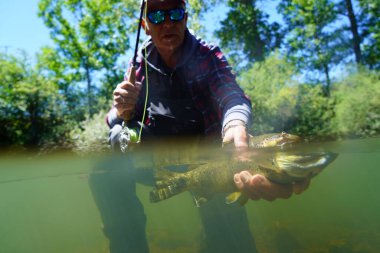 fly fisherman in summer catching brown trout fishing in a mountain river clipart