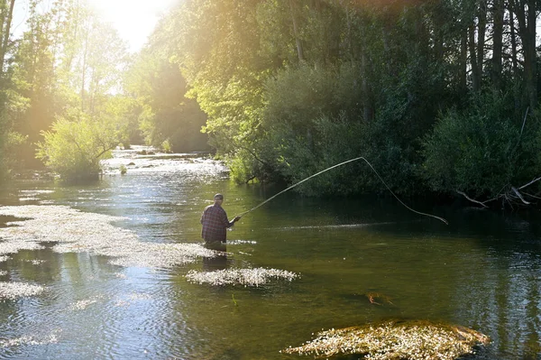 Pescador Mosca Pesca Verão Rio Montanha Com Waders Tampão — Fotografia de Stock