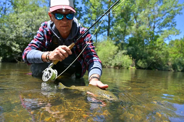 Pescador Mosca Verano Captura Trucha Marrón Pesca Río Montaña — Foto de Stock