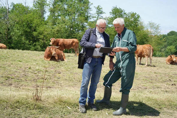 Vergadering Van Landbouwers Met Financiële Adviseurs Het Landbouwbedrijf — Stockfoto