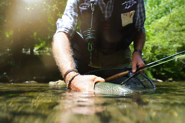 Pescador Mosca Verão Travando Uma Pesca Truta Arco Íris Rio — Fotografia de Stock