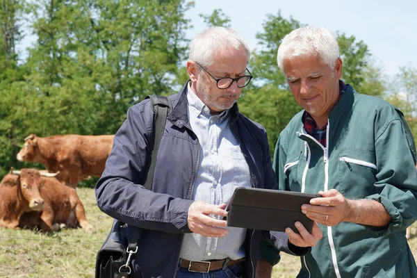 Vergadering Van Landbouwers Met Financiële Adviseurs Het Landbouwbedrijf — Stockfoto