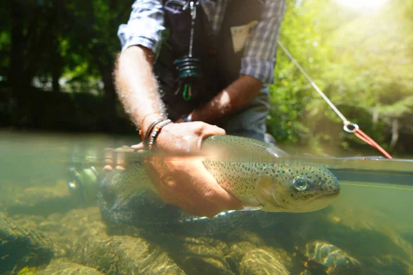 Pêcheur Mouche Été Attraper Une Truite Arc Ciel Pêche Dans — Photo