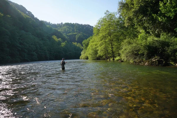 Mouche Truite Pêcheur Dans Grande Rivière — Photo