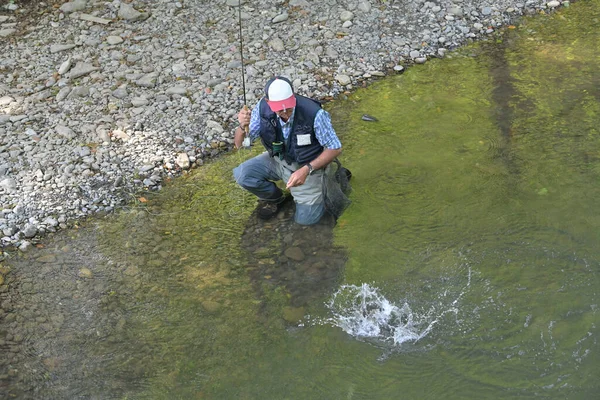 Pêcheur Mouche Été Attraper Une Truite Arc Ciel Pêche Dans — Photo