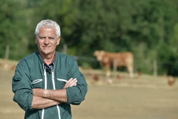 Farmer Standing Poultry Yard — Stock Photo, Image