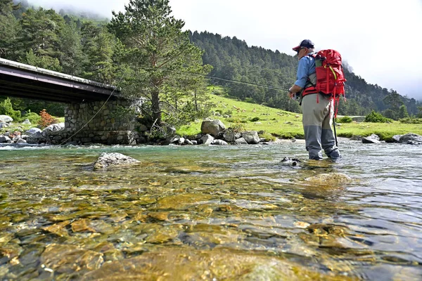 Fliegenfischer Forellenfischen Mit Wanderrucksack Und Blauem Hemd Hochgebirge Sommer — Stockfoto