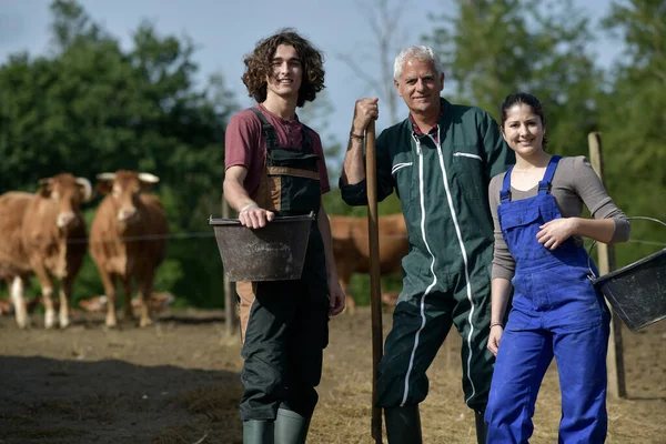 Junge Leute Verbringen Grünen Urlaub Auf Dem Bauernhof — Stockfoto