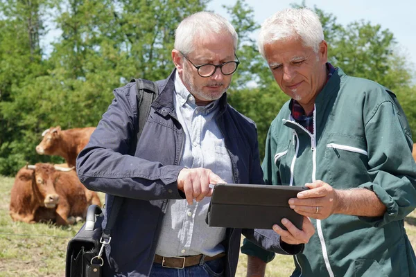 Reunião Agricultor Com Consultor Financeiro Exploração Agrícola — Fotografia de Stock