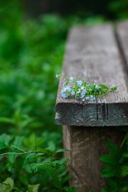 korun üzerinde eski ahşap arka plan perspective.background-yaz doğada, bahçe buket. Çiçekler üzerinde odaklanmak.