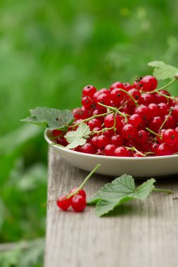 Beyaz tabak yaz bahçesinde ahşap arka plan üzerinde kırmızı kuş üzümü