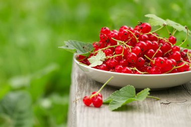 Beyaz tabak yaz bahçesinde ahşap arka plan üzerinde kırmızı kuş üzümü