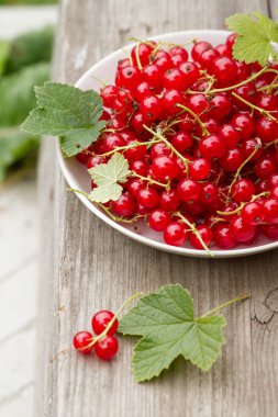 frenk üzümü bir yaz bahçesinde ahşap arka plan üzerinde beyaz tabak. Yakın çekim