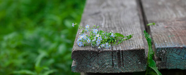 bouquet of forget-me-nots on an old wooden background in perspective.background-summer nature, garden. Focus on flowers.