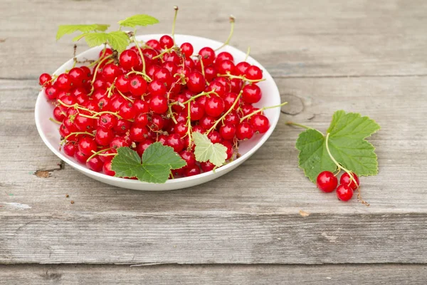 White Plate Red Currant Wooden Background Summer Garden — Stock Photo, Image