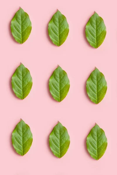 Patrón de la naturaleza a partir de hojas verdes sobre un fondo rosa, diseño creativo plano — Foto de Stock