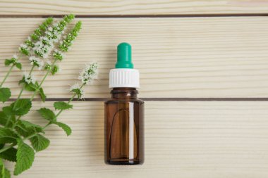 bir şişe nane esansiyel yağı ve ahşap arka planda Brunch taze nane