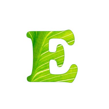 The green plant letter E , letters cut of the background of green sheet clipart