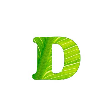 Yeşil bitki harfi D , yeşil levha arka plan kesilmiş harfler