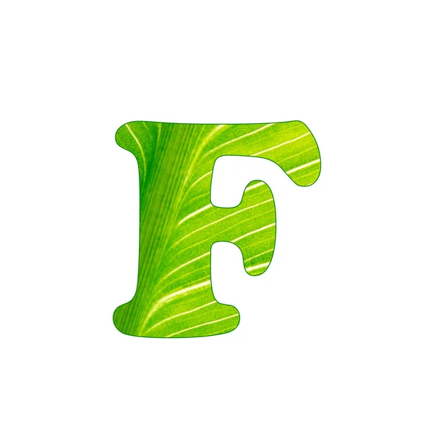 A planta verde letra F, letras cortadas do fundo da folha verde — Fotografia de Stock