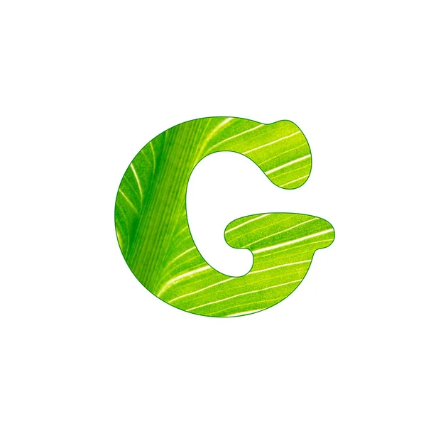 A planta verde letra G, letras cortadas do fundo da folha verde — Fotografia de Stock