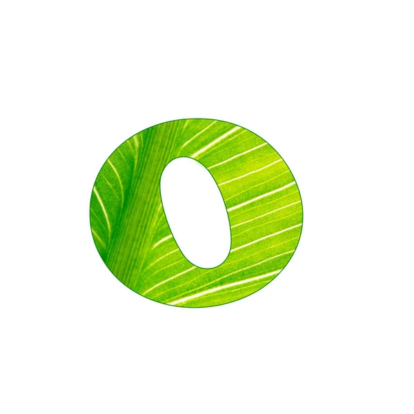 Το πράσινο φυτό γράμμα O, γράμματα κομμένα από το φόντο του πράσινου φύλλου — Φωτογραφία Αρχείου