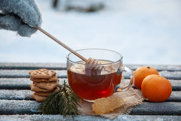 Чашка горячего чая с медом, мандаринами и печеньем в зимнем лесу. концепция рождественского натюрморта — стоковое фото