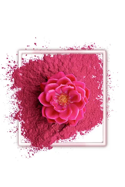 Beautiful Flower Arrangement Pink Rose Dry Pink Paint Frame Flat — Stock Photo, Image