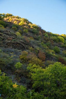 Yeşil dağ tepeden tırnağa kapalı. yemyeşil ağaçları olan dağlık bir bölge.