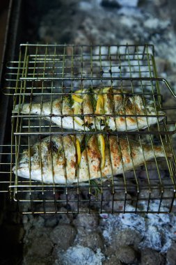 Çipura ızgara limon ve biberiye ile hazırlanan