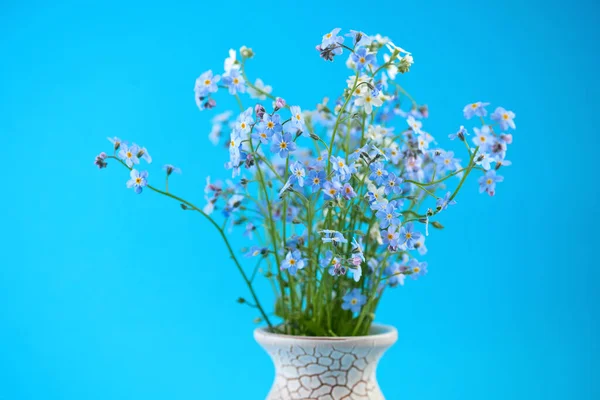 Små Blå Blommor Vas Färgad Bakgrund Tunn Stjälk Små Fina — Stockfoto