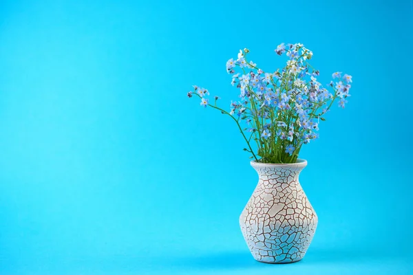 Little blue flowers in vase on colored background. Thin stem, small delicate flowers. Small DOF