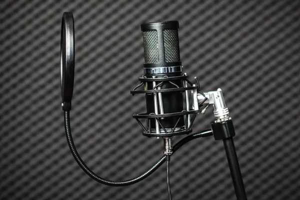 Microphone Studio Professionnel Condensateur Contre Panneaux Acoustiques Mousse — Photo