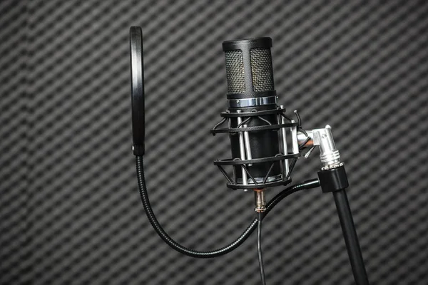 Microphone Studio Professionnel Condensateur Contre Panneaux Acoustiques Mousse — Photo