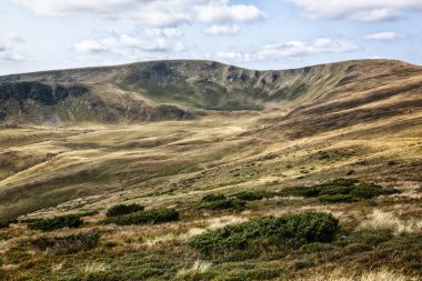 güzel manzara Karpat Dağları, Ukrayna.