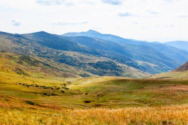 güzel manzara Karpat Dağları, Ukrayna.