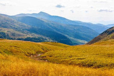güzel manzara Karpat Dağları, Ukrayna.