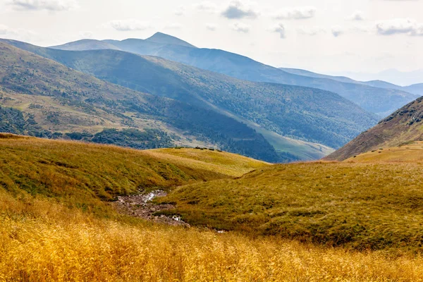 Bellissimo Paesaggio Montagne Carpatiche Ucraina — Foto Stock