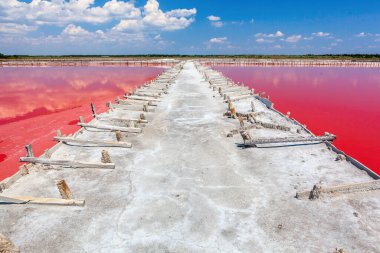 Ukrayna 'da doğal tuz çıkarma havuzu..
