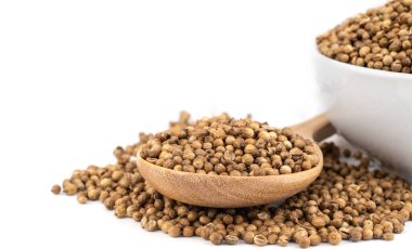 Beyaz arka plan üzerinde izole kişniş yığını .