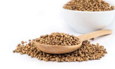 Beyaz arka plan üzerinde izole kişniş yığını .