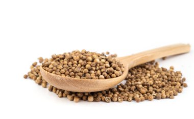 Beyaz arka plan üzerinde izole kişniş yığını .