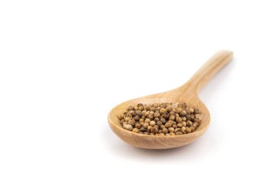 Beyaz arka plan üzerinde izole kişniş yığını .