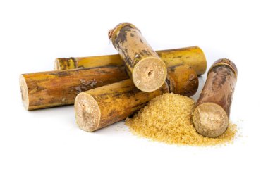 Şeker kamışı beyaz arka plan üzerinde izole parçası.