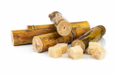 Şeker kamışı beyaz arka plan üzerinde izole parçası.