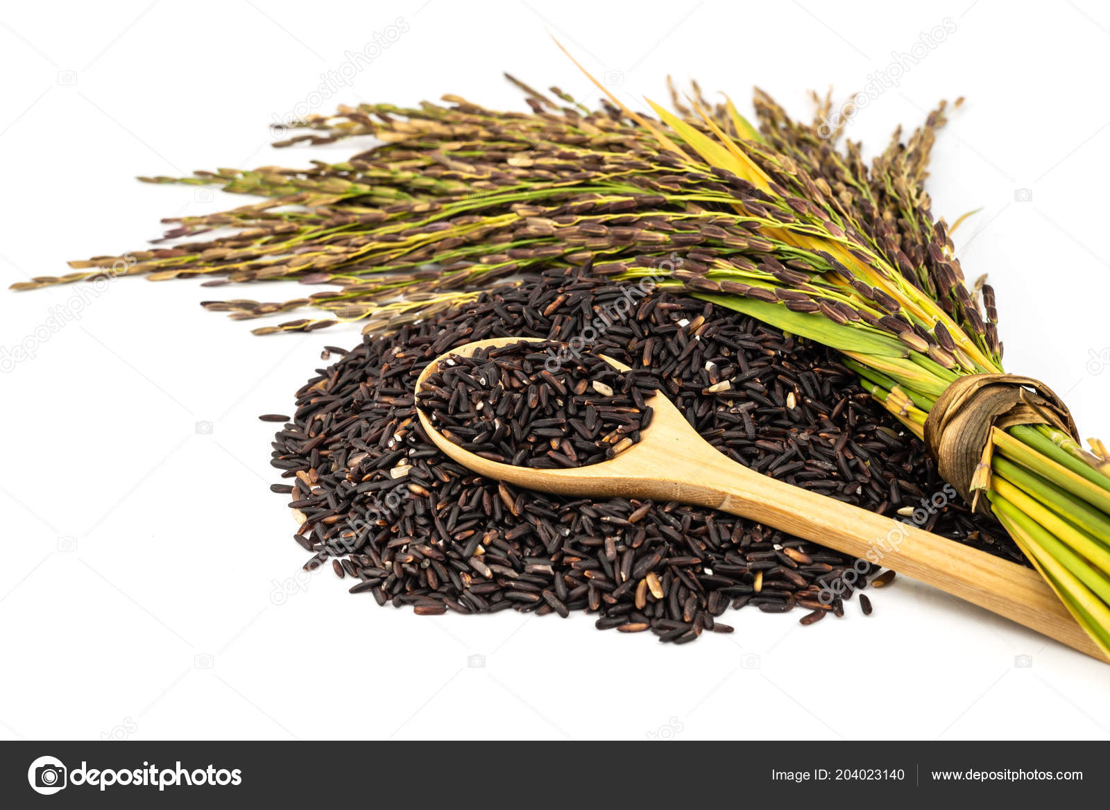 Riso Profondo Viola Colori Questo Splendido Colore Scuro