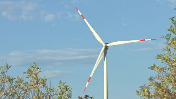 Turbin Wiatrowych Polach Uprawnych Letni Dzień Produkcji Energii Czystych Odnawialnych — Wideo stockowe